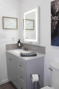 ComptonPrivate King Suite near Buffalo River, Perfect for 5的一间带水槽、镜子和卫生间的浴室