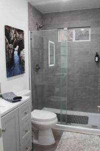 ComptonPrivate King Suite near Buffalo River, Perfect for 5的一间带卫生间和玻璃淋浴间的浴室
