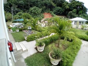普拉兰La Residence D'Almee Guesthouse的享有棕榈树花园的景色