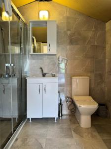 博兹贾阿达岛Le Petit Hotel ve Bağ Evi的浴室配有卫生间、盥洗盆和淋浴。
