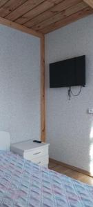 拉普梅茲采姆斯Zem Priedēm的卧室配有一张床,墙上配有电视。