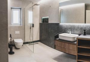 扎科帕内Apartamenty Górski Kryształ的一间带水槽、卫生间和淋浴的浴室