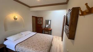 格雷梅爱丽舍洞穴酒店的一间卧室配有一张床和一台电视