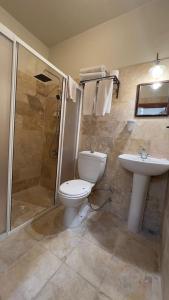 格雷梅爱丽舍洞穴酒店的浴室配有卫生间、盥洗盆和淋浴。