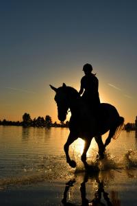 阿吉奥斯普罗科皮奥斯Virtu Suites的一位妇女在海滩上骑马