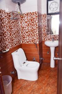 新德里Zed Hotel - IGI Airport Delhi的一间带卫生间和水槽的浴室