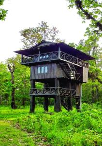 索拉哈Horizon Homes - Sauraha Chitwan的坐在草原上的树屋