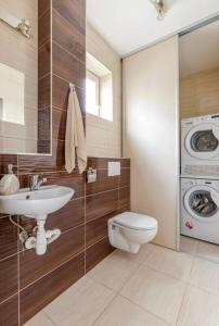 RovinkaModern 2 bed house near Bratislava with parking的浴室配有卫生间水槽和洗衣机。