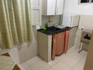 特雷索波利斯Pousada Jardim Secreto的一个带柜台和水槽的小厨房