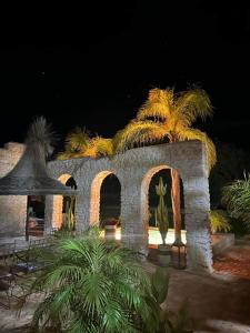 索维拉Riad Mamy Wababi的一座棕榈树顶部的石头建筑