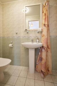 拉克韦雷Villa Wesenbergh的一间带水槽和淋浴帘的浴室
