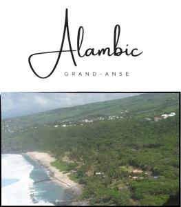 珀蒂蒂勒Alambic de Grand Anse的海滩上写有氨基 ⁇ 的图象