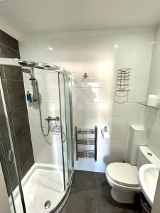 伯恩茅斯竹酒店的带淋浴、卫生间和盥洗盆的浴室