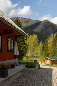 FreinFrein Chalets - Kaltenbach的山景度假屋