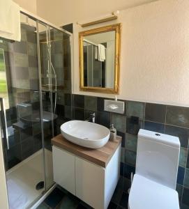 莫尔科泰Arbostora Charme Hotel的一间带水槽、卫生间和镜子的浴室