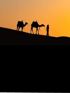 AdrouineTamaris Camp的日落时分,一个男子在山下骑着两只骆驼