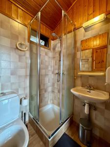 海拉Arhus Cottage and Camping的带淋浴、卫生间和盥洗盆的浴室