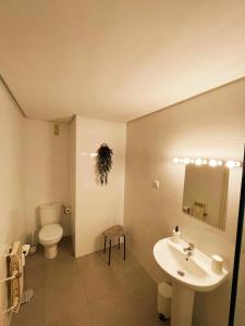 图德拉Pensión las Hojas的白色的浴室设有卫生间和水槽。