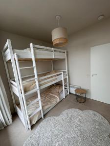 德帕内Appartement Sainte-Cécile的一间设有双层床的客房,位于一间铺有地毯的房间