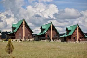 扎布利亚克Mountain view Lodges的两座木质建筑,在田野上拥有绿色屋顶