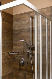 利维尼奥Chalet Da Florin的带淋浴的浴室(带木墙)