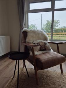 布罗德福德Hebridean Inn的坐在窗前椅子上的猫