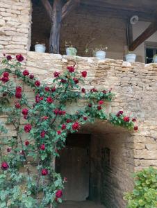 VisernyGîte à la ferme的一面红玫瑰长在墙上的石墙