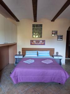 CavallermaggioreB&B Bertaina Mauro的一间卧室配有一张大紫色床和两张桌子