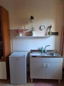 CavallermaggioreB&B Bertaina Mauro的一个带水槽和柜台的小厨房