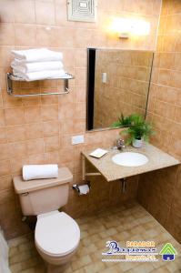 博克龙帕拉多博奇马尔的一间带卫生间、水槽和镜子的浴室