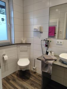 腓特烈港Hotel Gästehaus Stock Zimmer Bäumle的一间带卫生间和水槽的浴室