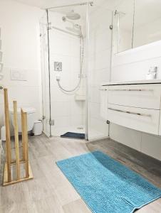 于伯林根Im Guggenbühl的带淋浴的浴室和蓝色地毯。