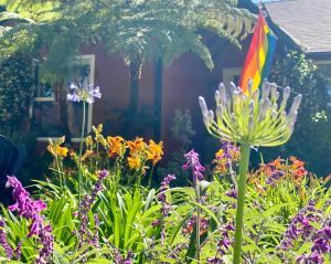 洛杉矶The Vine, Studio City的一个带彩虹旗和鲜花的花园