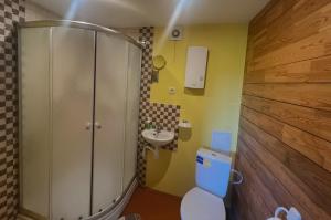 DurbeVītolu dīķi - atpūtas mājiņas ar makšķerēšanu的带淋浴、卫生间和盥洗盆的浴室