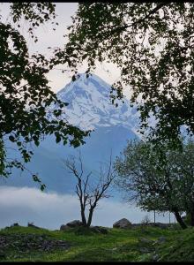 卡兹贝吉卡兹贝吉水晶旅馆的树木后面的雪覆盖的山