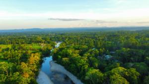 米萨华丽港Suchipakari Amazon Eco -Lodge & Jungle Reserve的森林中河流的空中景观