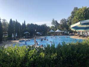 维亚雷焦Campsitechalet in Viareggio near sea incl airco的一群人在游泳池里