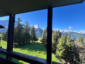 格里翁THE ALPINE STUDIO on the ski slopes - by the lake - Alpe des Chaux - Gryon的从绿色田野和山脉的窗户欣赏美景