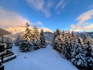格里翁THE ALPINE STUDIO on the ski slopes - by the lake - Alpe des Chaux - Gryon的享有雪覆盖的山林美景