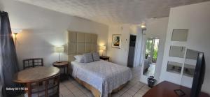 劳德代尔堡绿岛酒店的一间卧室配有一张床、一张桌子和一张书桌