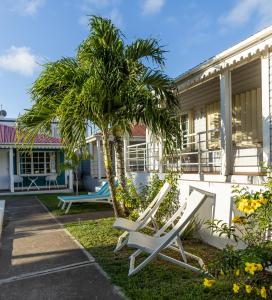 奥拉涅斯塔德Talk of the Town Inn & Suites - St Eustatius的棕榈树屋前的一把躺椅