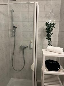 汉诺威OLIVE Apartments - 3x Kingsize Bedrooms - Free Parking的带淋浴喷头的浴室