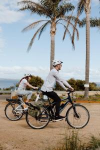 金斯科特袋鼠岛海景汽车酒店的两个男人骑着自行车沿着棕榈树的道路行驶