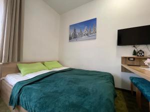 科帕奥尼克Apartments Konaci Kopaonik的一间卧室配有一张床和一台平面电视