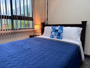 圣何塞The Rainier Bed & Breakfast 5的卧室内的一张带蓝色棉被和枕头的床