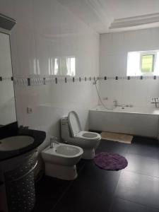 塔科拉迪DANGOTEC HOMES AND PROPERTIES的浴室设有2个卫生间、水槽和浴缸。