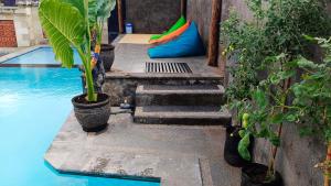 班尤温当曼简甘美景住宿加早餐旅馆的一座带楼梯和植物的游泳池,位于一座房子旁边