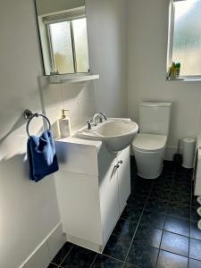 SalisburySunshine Four的白色的浴室设有水槽和卫生间。