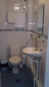 索非亚阿维尔宾馆的一间带卫生间和水槽的浴室