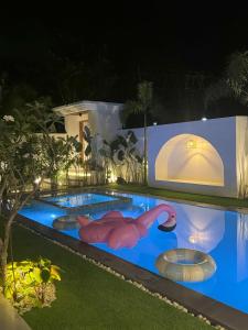 公主港Villa Anela的夜间游泳池,水中带有火烈鸟
